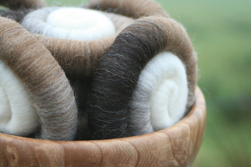 4 Shades of Shetland Rolags / Punis - 100g