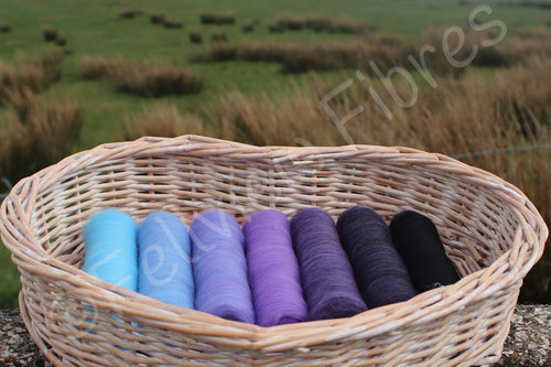 Aura - Gradient Batt Set - 100g