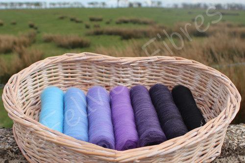 Aura - Gradient Batt Set - 100g