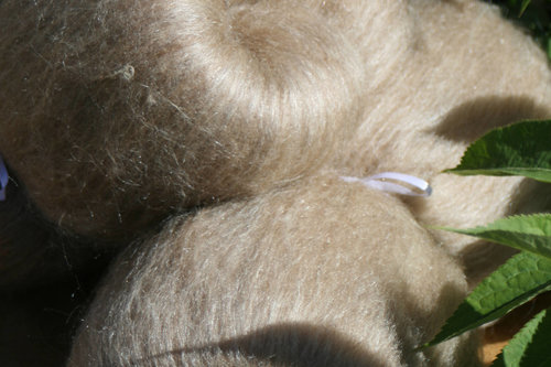 Manx Loaghton / Honey Tussah Silk smooth blended batts - 100g