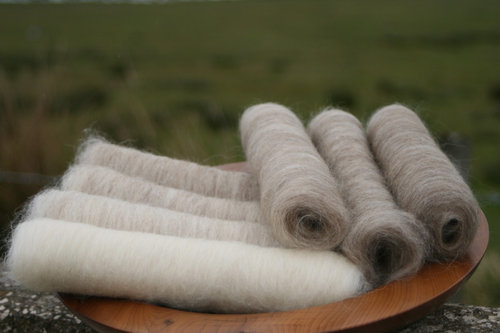 Gentle Shetland Gradient Batt Set - 100g