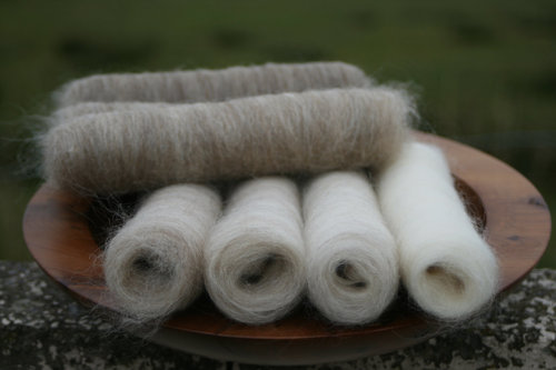 Gentle Shetland Gradient Batt Set - 100g