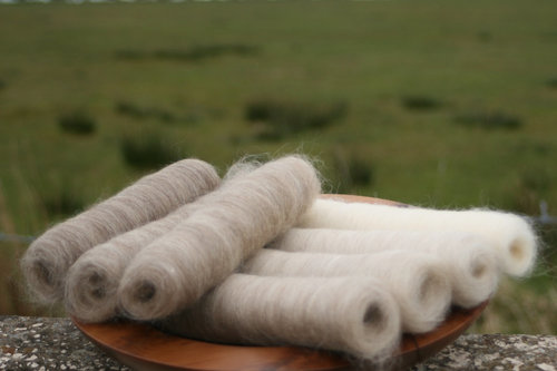 Gentle Shetland Gradient Batt Set - 100g