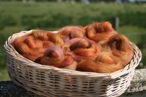 Autumn Blaze - Handpulled roving nests - 100g