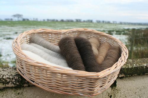 Shetland Natural Gradient - 150g