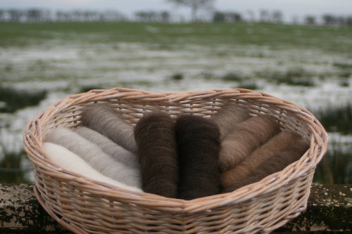 Shetland Natural Gradient - 150g