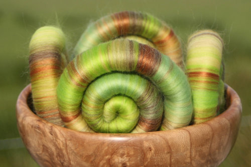 Bursting Buds Rolags / Punis - 100g