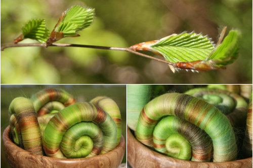 Bursting Buds Rolags / Punis - 100g