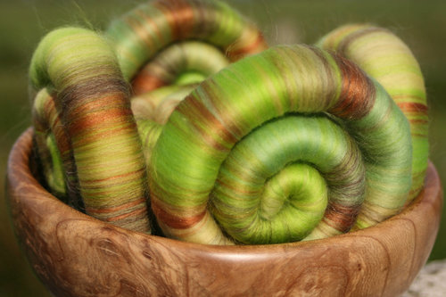 Bursting Buds Rolags / Punis - 100g