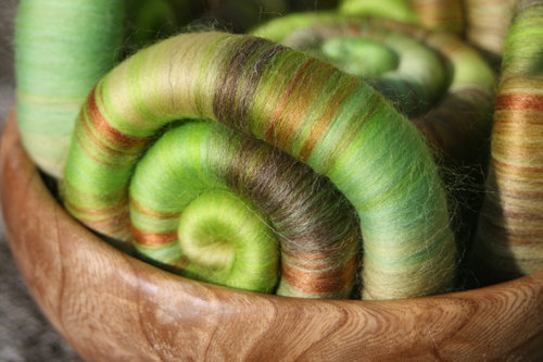 Bursting Buds Rolags / Punis - 100g