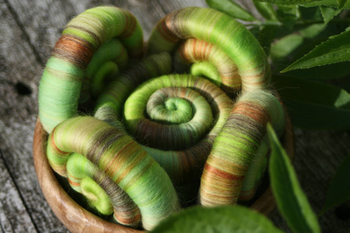 Bursting Buds Rolags / Punis - 100g