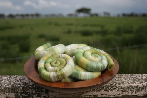 Spring Awakenings Rolags / Punis - 100g