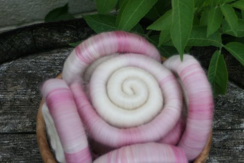 Gentle Magnolia Rolags / Punis - 100g - Polwarth: Silk base