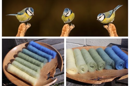 Blue Tit Gradient Batt Set