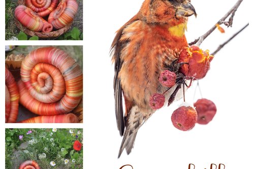 Crossbill rolags - 100g