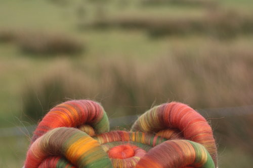 Ballaglass Beauty rolags - 100g