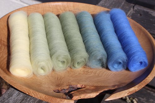 Blue Tit Gradient Batt Set