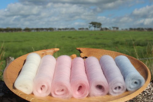 Longtailed Tit Gradient Batt Set