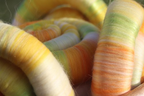 Narcissus Rolags - 100g