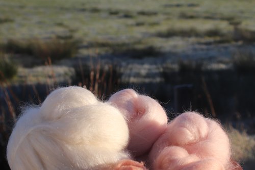 Bloom of Ruth - 130g Fibonacci Gradient Batt set.