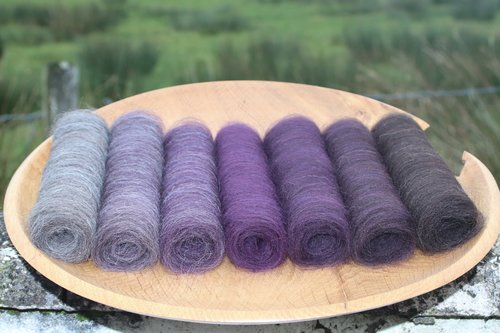 Spooky Shetland Gradient Batt Set - 100g