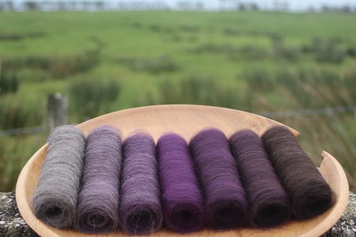 Spooky Shetland Gradient Batt Set - 100g