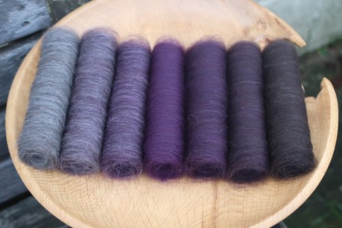 Spooky Shetland Gradient Batt Set - 100g