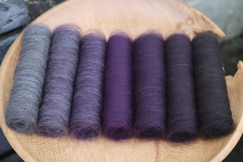 Spooky Shetland Gradient Batt Set - 100g