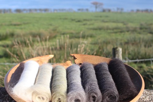 Midnight Falls Gradient Batt Set - 100g