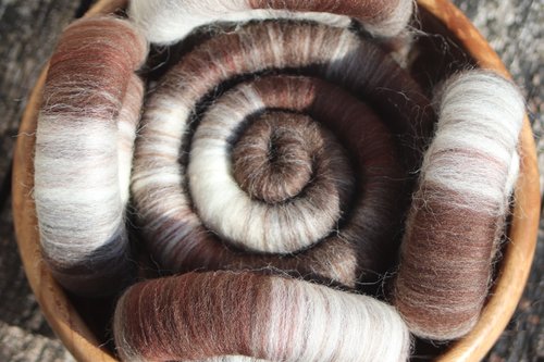 Ladies of the Lakes Rolags - 100g