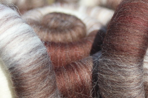 Ladies of the Lakes Rolags - 100g