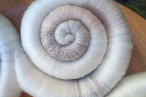 Limited Edition - Kitten Soft Rolags - 50g