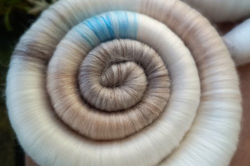 Limited Edition - Kitten Soft Rolags - 50g