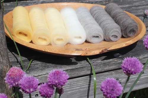 Grey Wagtail - Shetland Edition