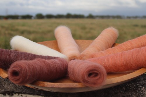 Vixen Gradient Batt Set