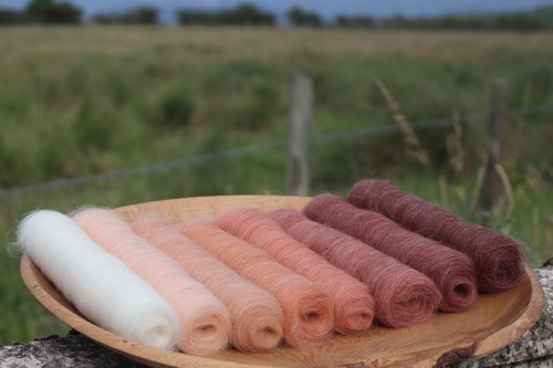 Vixen Gradient Batt Set