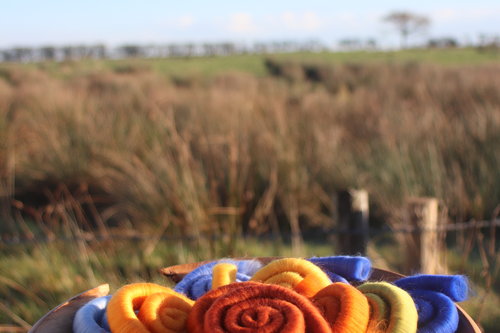 Venice Sunset Gradient rolag set- 110g