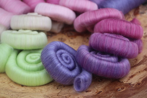 Ripening Blueberries gradient.