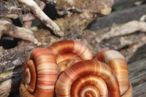 String Theory rolags - 100g