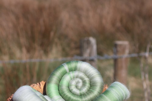 Gentle Unfurling Rolags - 100g