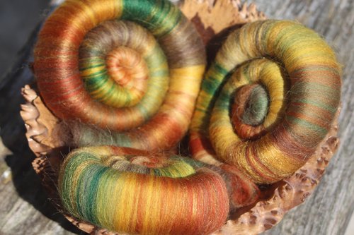 Golden Oak Rolags - 100g