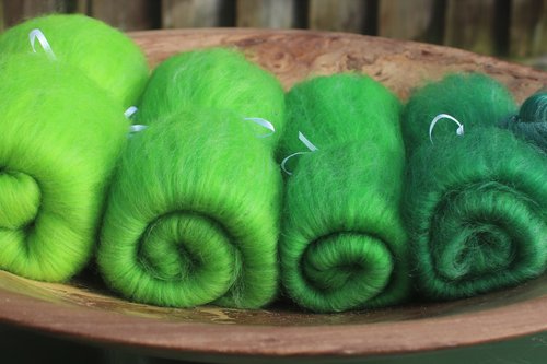 Fibonacci Fern - 130g