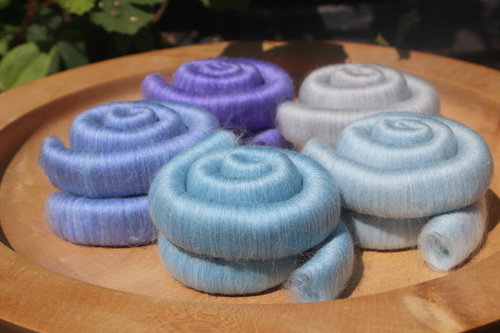 Holly Blue Butterfly