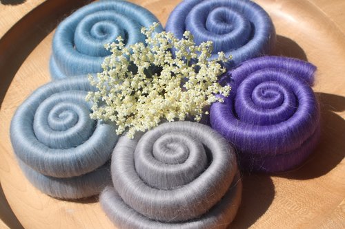 Holly Blue Butterfly