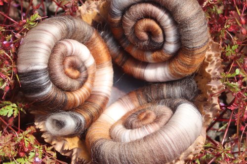 Rattler rolags - 100g