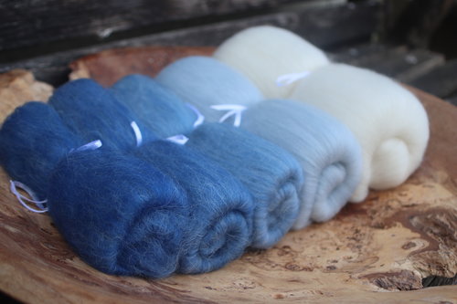 Azure Tit - Fibonacci Gradient set 130g