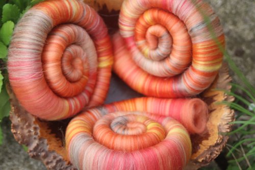 Crossbill rolags - 100g