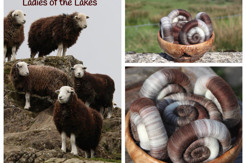 Ladies of the Lakes Rolags - 100g