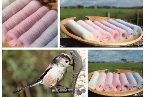 Longtailed Tit Gradient Batt Set