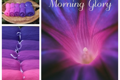 Morning Glory Fibonacci Gradient - 130g